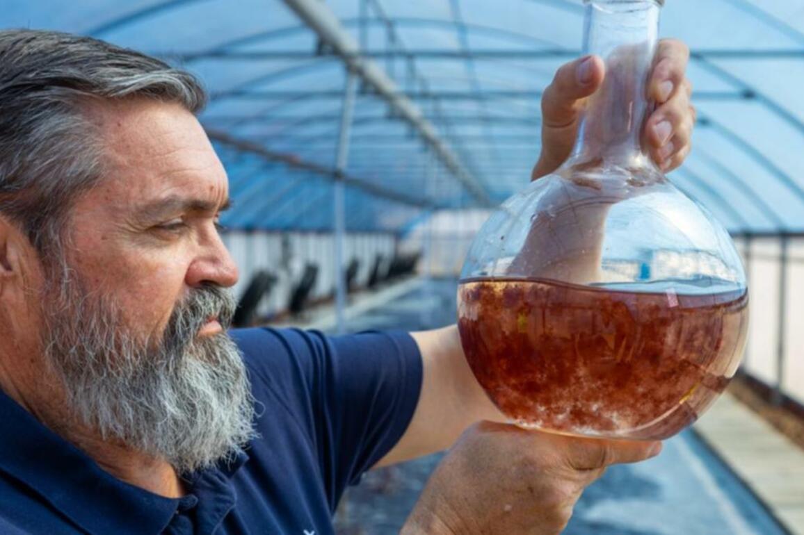 Climate fighters find innovative way to feed the beast