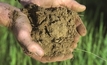 Northern soils surprisingly nitrogen-friendly