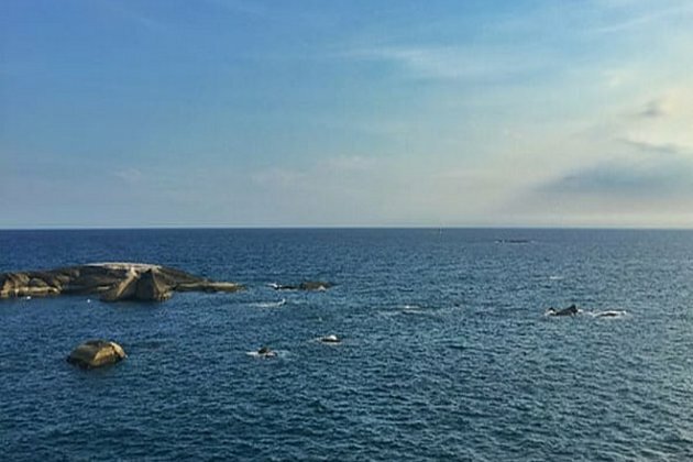 Japan ramping up pressure on China over South China Sea: Report