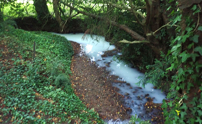 A tributary of the Congresbury Yeo was polluted by Somerset cheesemaker Alvis Brothers 