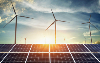 The government has hosted its first Net Zero Council meeting - but can it deliver?