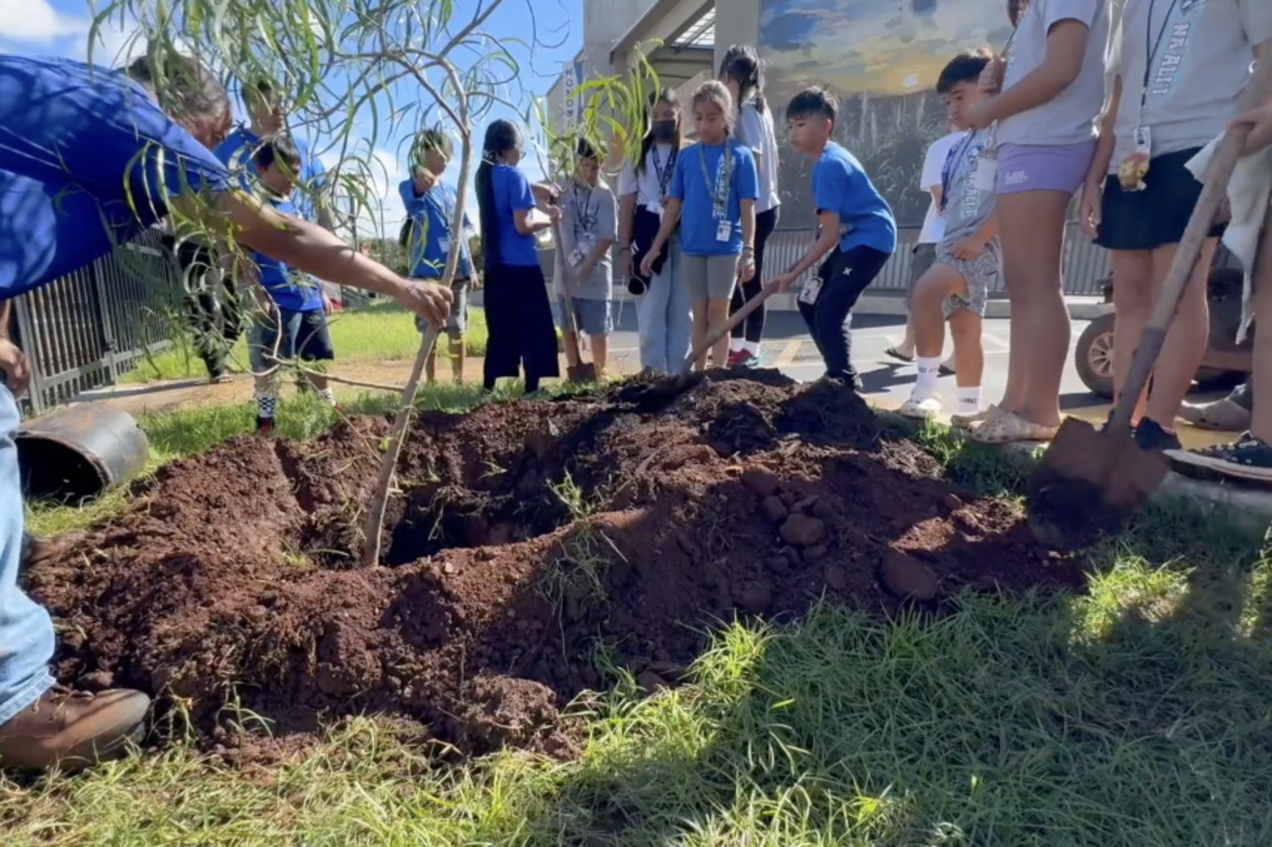 Creative keiki win awards for community forest video