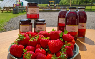 Sustainability goals inspire fruit diversification projects
