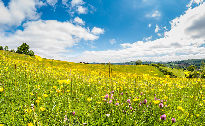 Severn Trent offering farmers funding for nature projects this spring