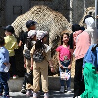 SYRIA-DAMASCUS-EID AL-ADHA-HOLIDAY-ZOO