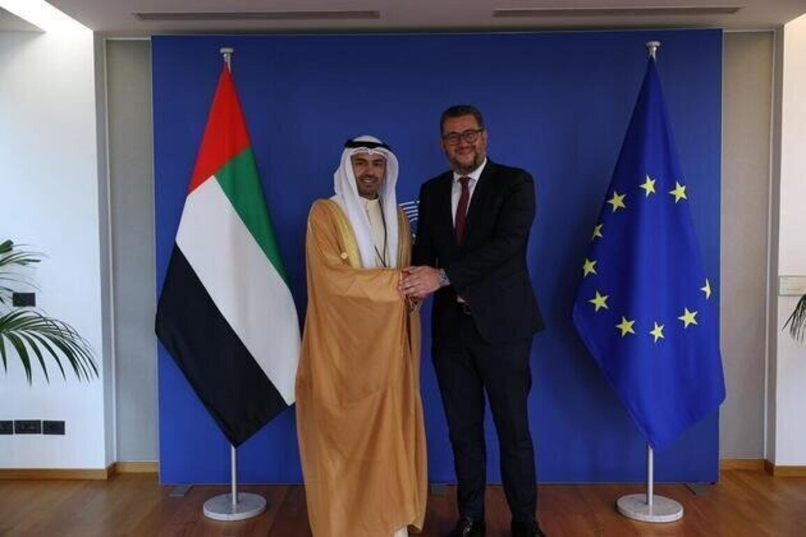 FNC, European Parliament discuss boosting trade, investment ties