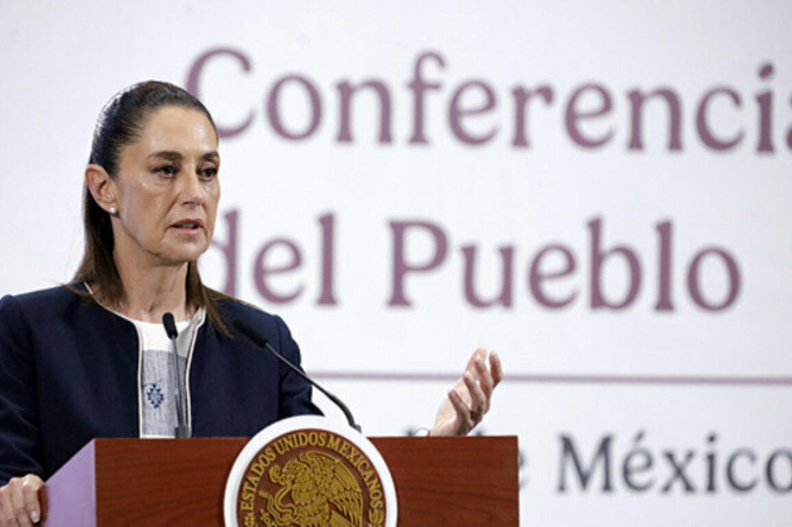 Mexican president urges U.S. action to curb drug, arms trafficking
