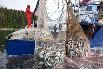 Trump allows commercial fishing in New England marine monument
