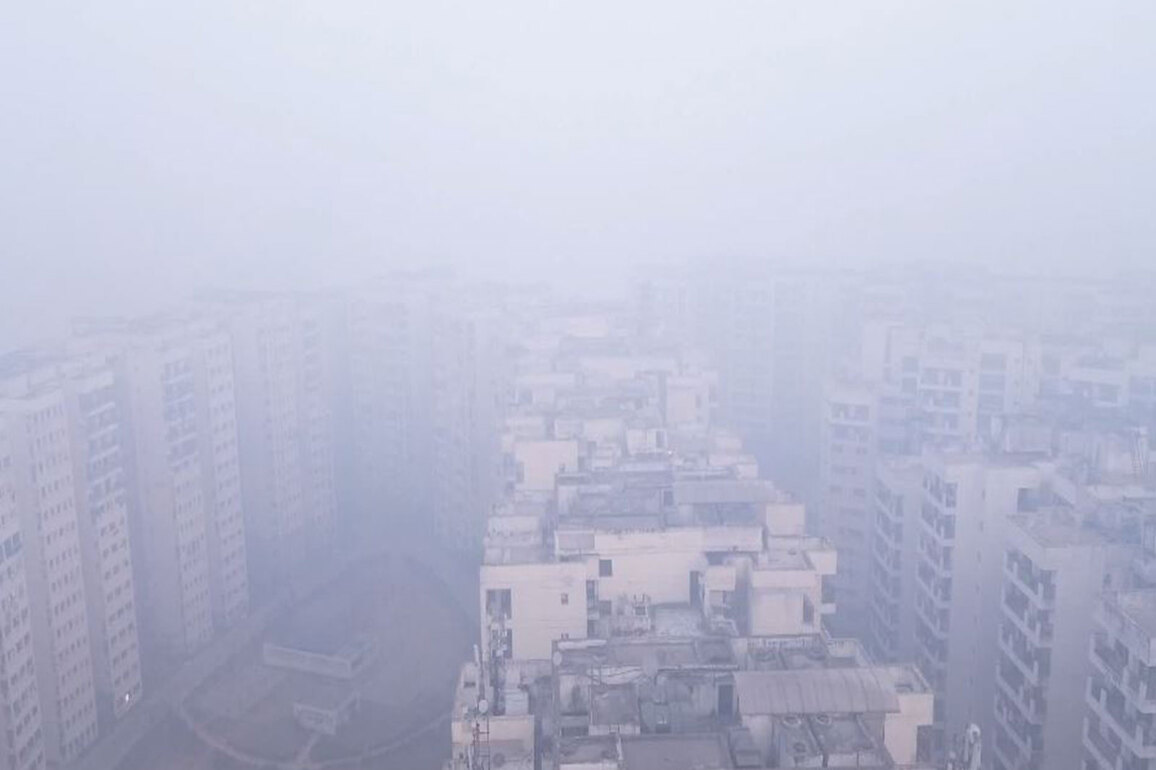 Delhi chokes again: AQI in 'severe' category at 439 as cold wave and fog persist