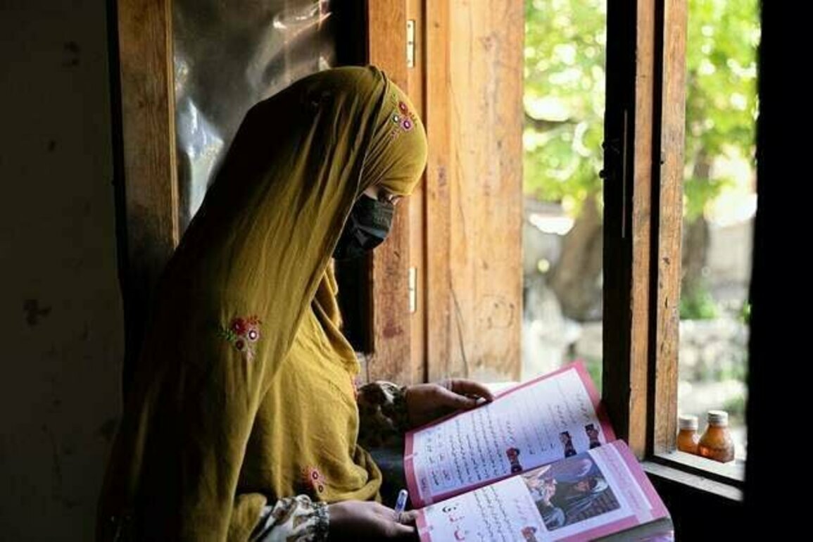 Press briefing by UN Women on the2024 Afghanistan Gender Index launch