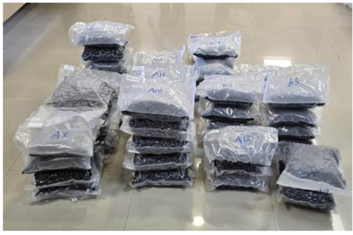 DRI seizes 72 kg of hydroponic weed worth Rs 72 crore in pan-India operation