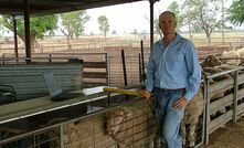 Genomics to take Merinos to next level