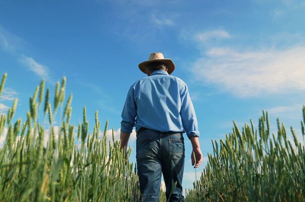 Farmers and other agricultural workers are at higher risk of developing skin cancers than the general population, so should take adequate measures to protect themselves and their employees. 