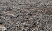 The GRDC has announced a major project looking at soil health including standards of measurement.