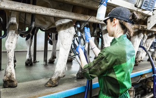 UK Dairy Day: Opening up dairy farm labour talent pools