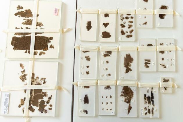 Homecoming of 2,300-year-old silk manuscripts