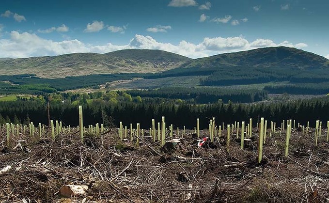 Tree planting plans threaten future of tenant farming in Scotland