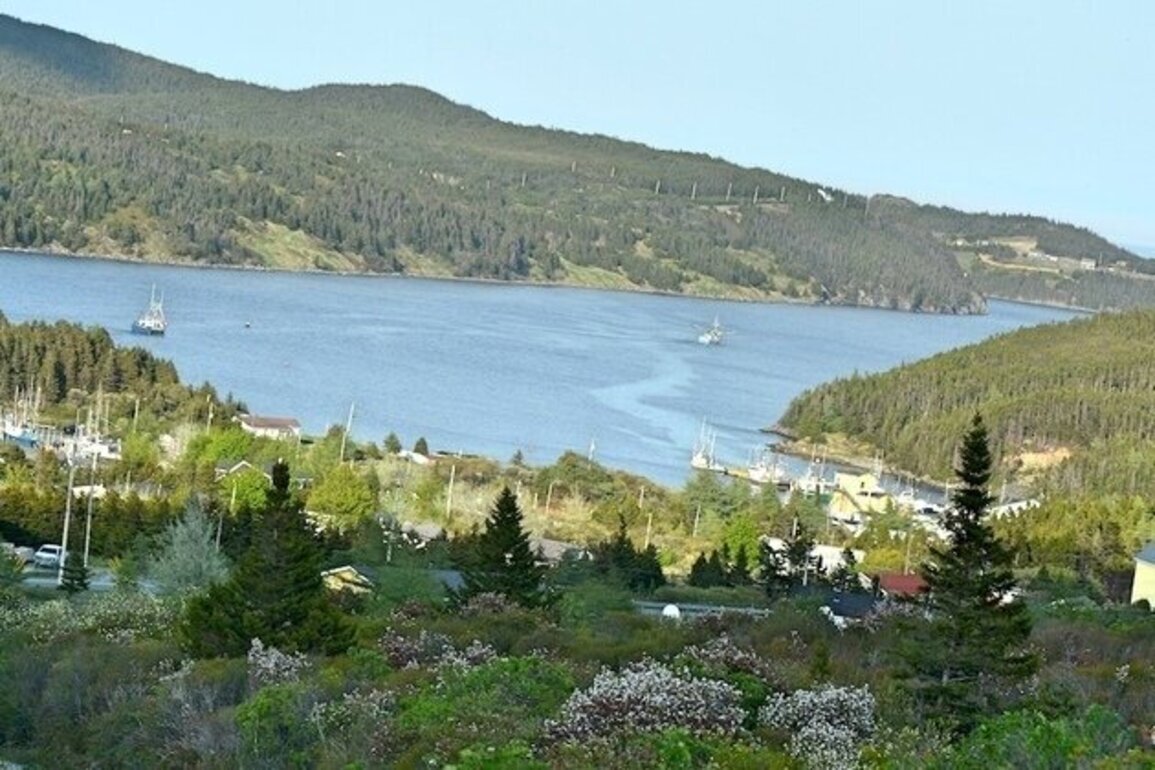 Local Economies Pushed Aside as Newfoundland LNG Megaproject Presses Ahead