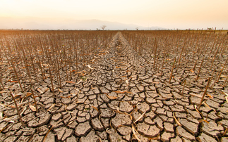 'Another stark warning': Four billion people endured extra month of extreme heat over past year