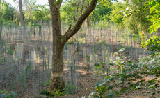 30x30: Is the government's ambitious nature conservation goal still achievable?