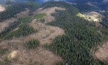  Westhaven Gold’s Shovelnose project in BC