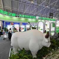 China's growing appetite for climate-conscious food helps protect Brazil's rainforest