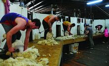 Wool forecast clipped by bad conditions