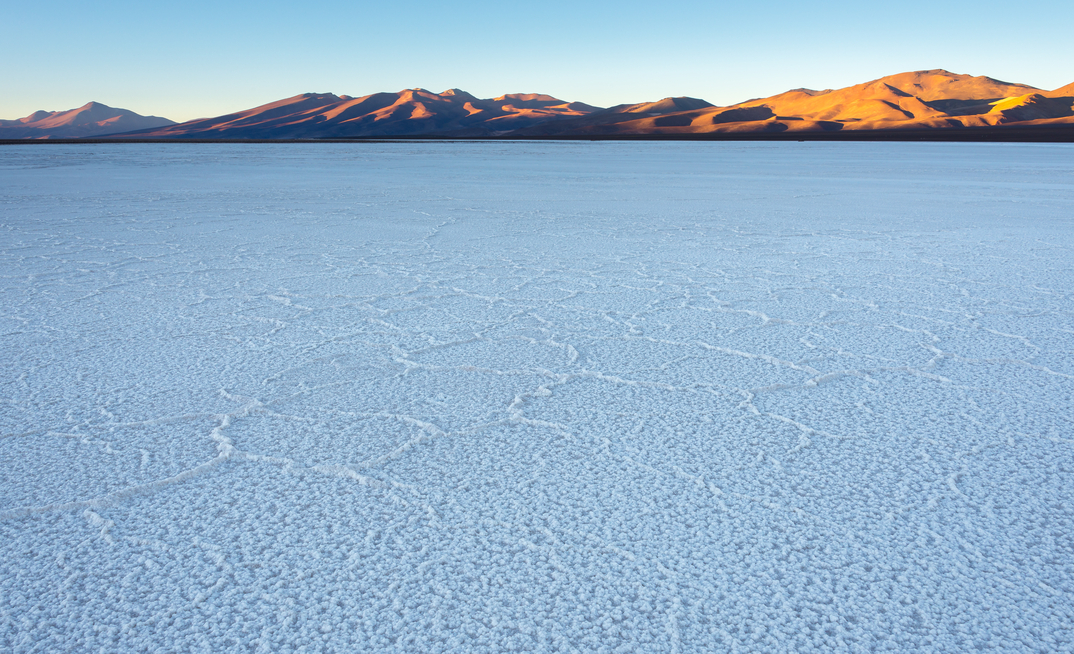Salt flat of Maricunga at sunrise, Nevado Tres Cruces National Park, Chile. Photo: Alberto Loyo / Shutterstock
