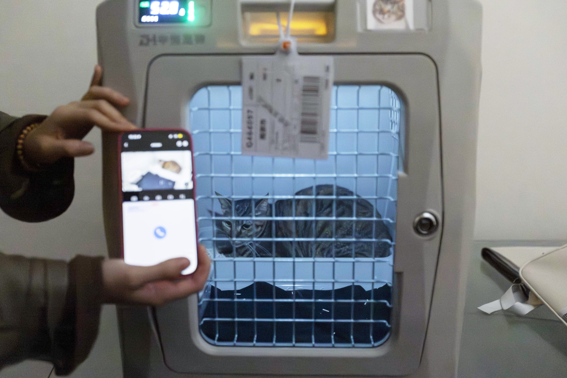 (Economy&Life) CHINA-HIGH SPEED RAILWAY-PET TRAVEL (CN)