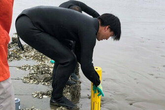 Study Reveals Potential of Seaweed Farms as Carbon Storage Solution