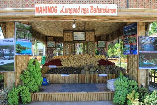 DA urges repatriated OFWs to be agripreneurs