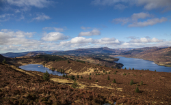 Woodland restoration plan unveiled for Loch Lomond and the Trossachs