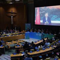 Xinhua Commentary: At pivotal moment, China injects momentum into global climate governance