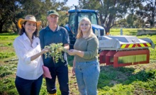  DPIRD officers Catherine Borger, Dave Nicholson and Miranda Slaven at a trial site in WA where a machine that uses electricity to kill weeds is being tested. Image courtesy DPIRD.