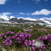 Chinese scientists uncover drivers of divergent climate changes across Asia