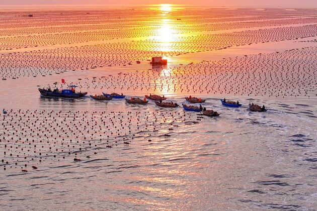 Robotic fish help revitalize fish farming
