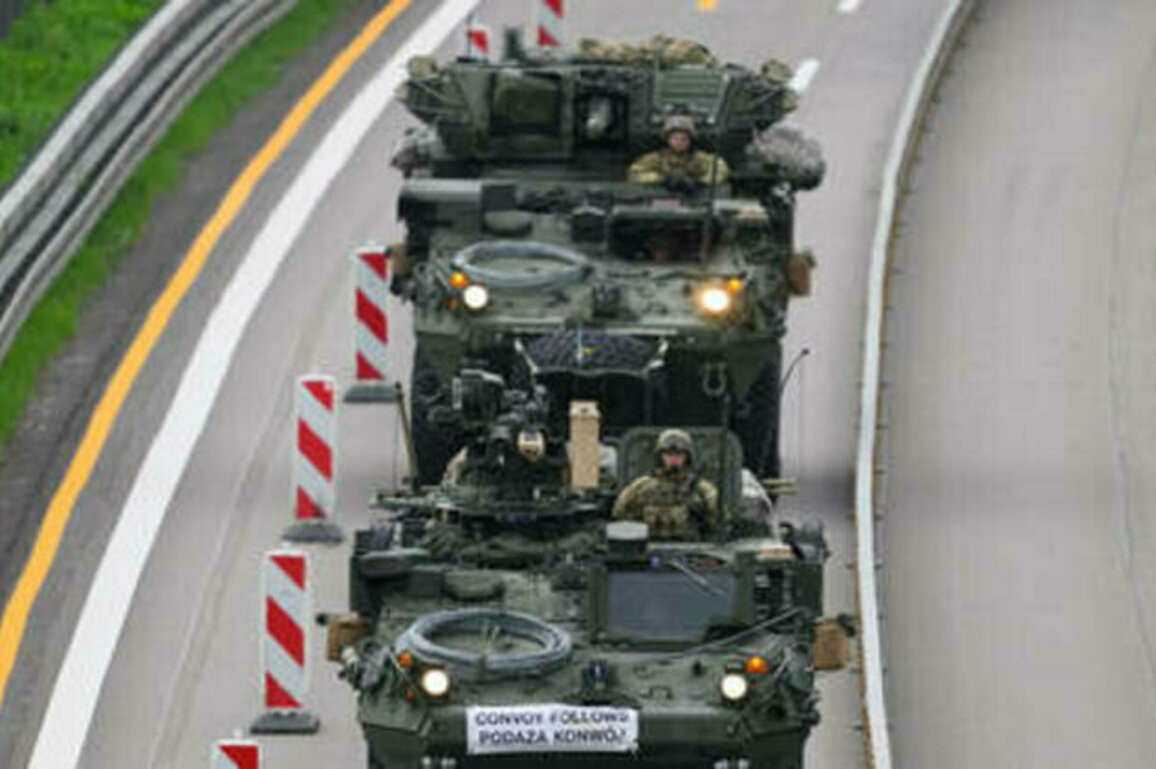 US running out of patience over European troop reduction - envoy