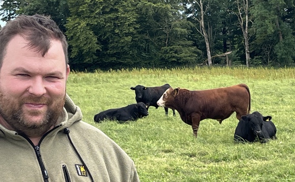 Results revealed for Deeside Monitor Farm trial finishing bulls at grass