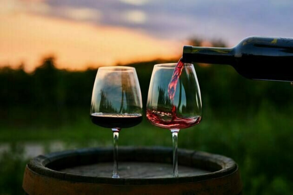 Finding the parents of Cabernet Sauvignon and Chardonnay: how DNA analysis can trace a wine's genetic origins