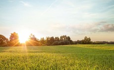 Trust in farming boosted by pandemic