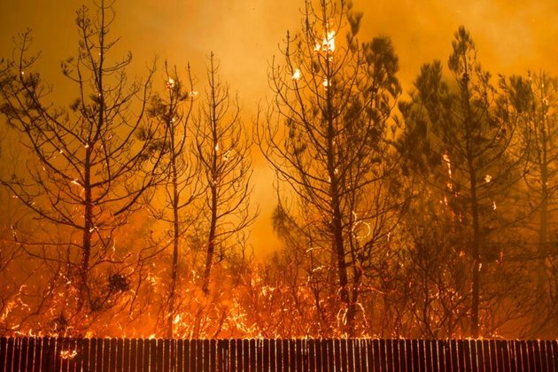 US Senate Preps for Landmark Climate Legislation