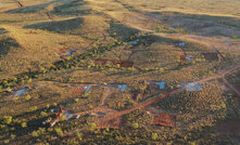 Wildcat's Tabba Tabba ground