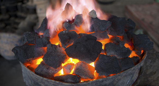 credit: Shutterstock