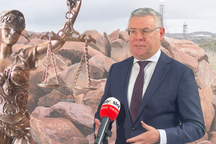 UN expert applies to intervene in legal challenges to Watt's NWS approval