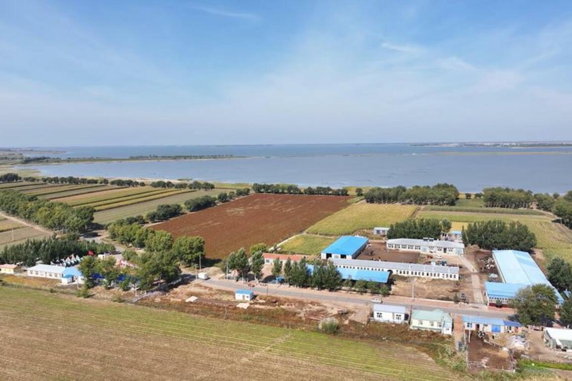 Urbanites embrace the charm of rural China