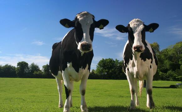 The Murrow AD plant produces gas using cattle manure and straw as feedstocks The Murrow AD plant produces gas using cattle manure and straw as feedstocks