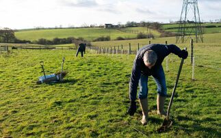 Woodland Trust and Lloyds Banking Group hail 'landmark' tree-planting milestone 
