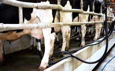 May milk prices see 'unprecedented' rise but 50ppl may soon be needed