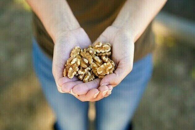 Why walnuts can be your go-to for your daily quota of plant-based Omega-3 ALA