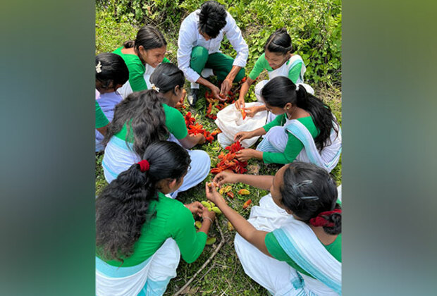 Assam: Community-driven nursery aids habitat restoration for elephants